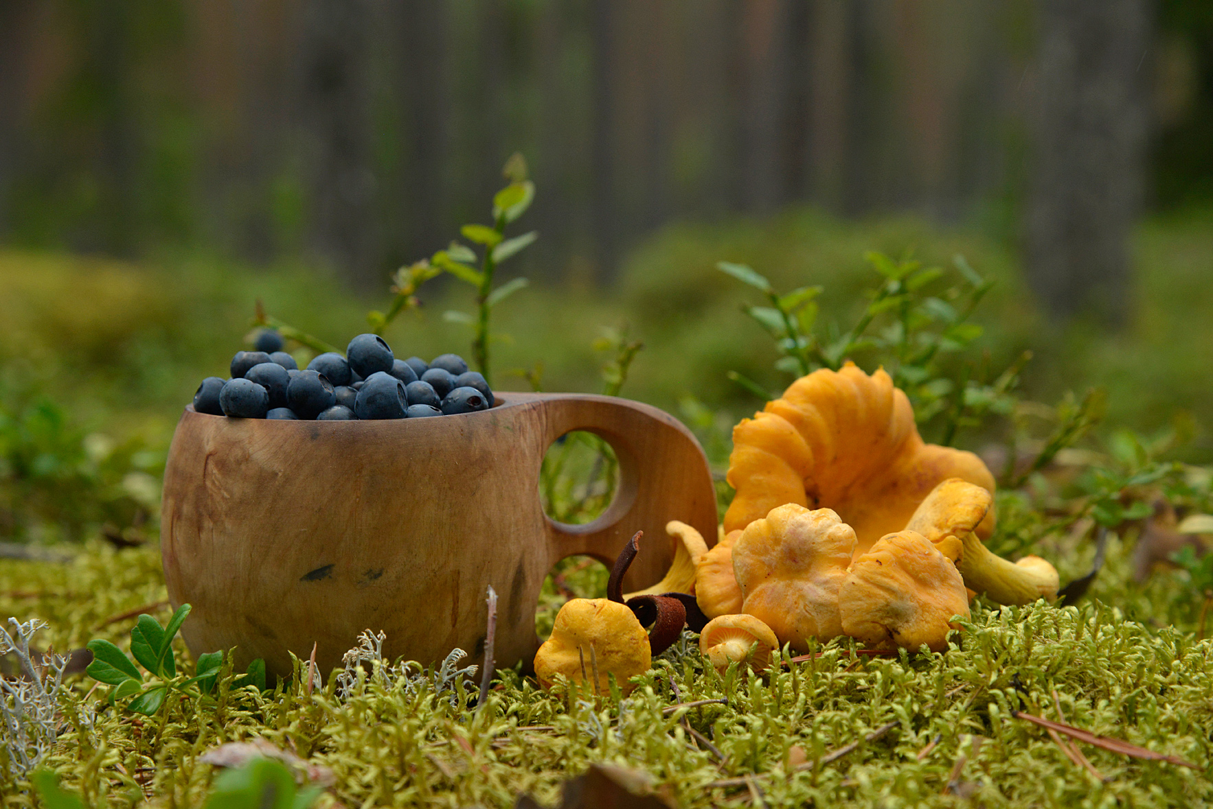 Kuva: Terttu Hermansson