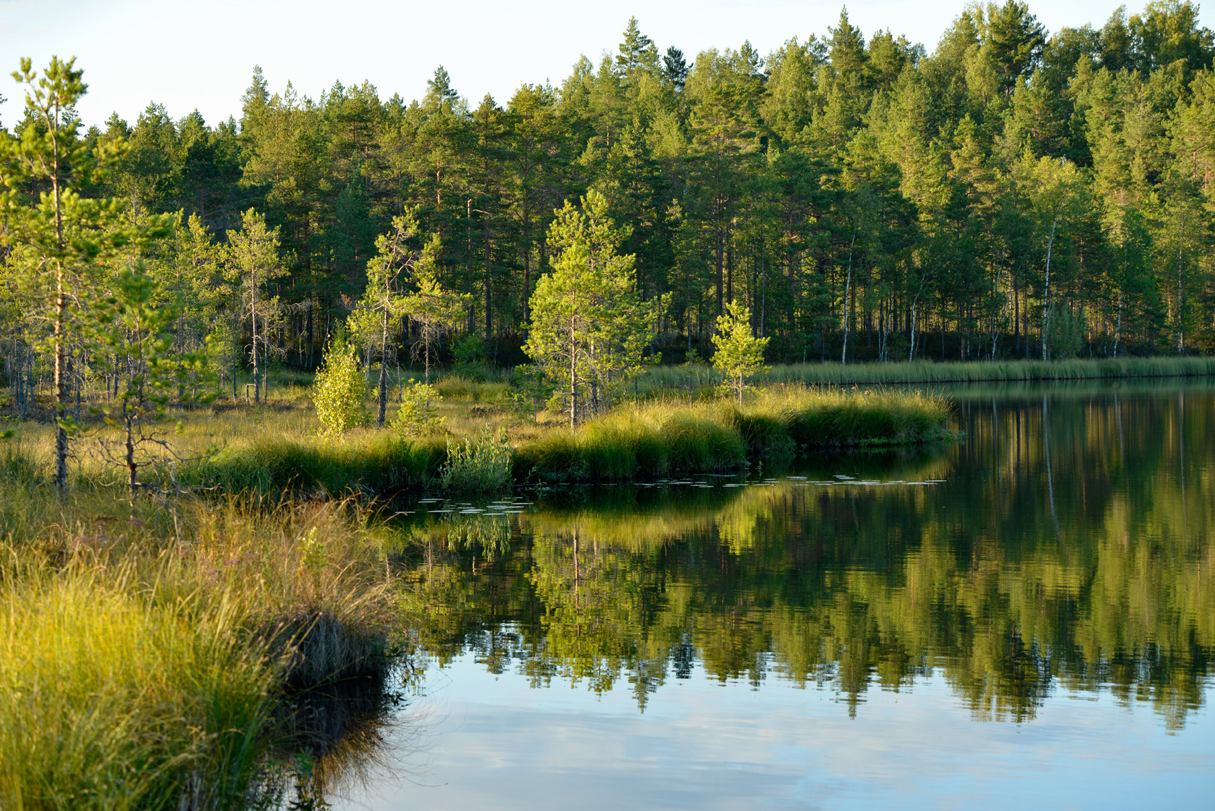 Keidaslammi. Kuva: Terttu Hermansson